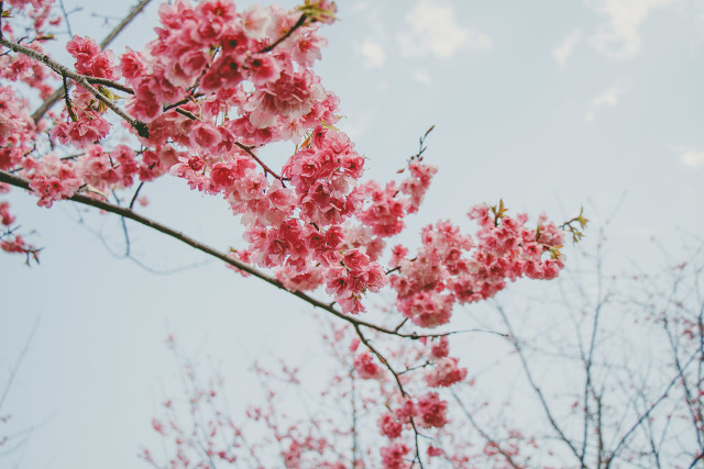 她做保姆的这些年豪门生活之八,她做保姆的这些年豪门生活之十四