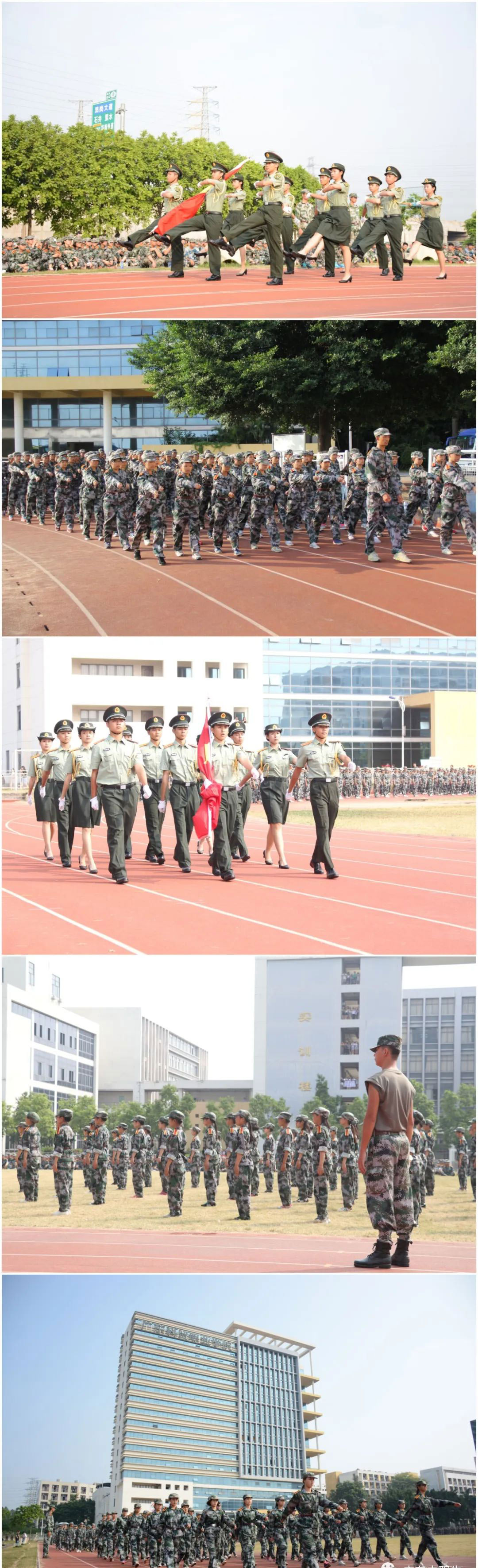 广东科贸职业学院高职投档线,广东科贸职业学院高职高考