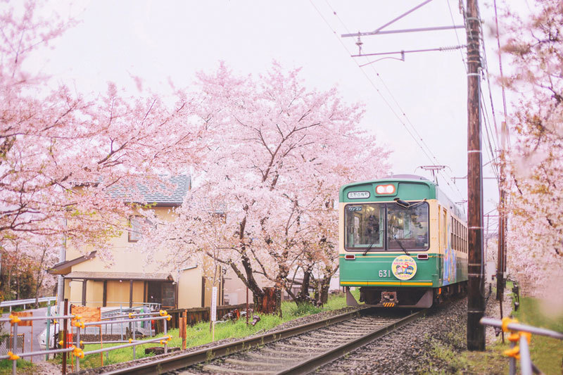日本交通攻略2019,最详细日本旅行攻略图文大全