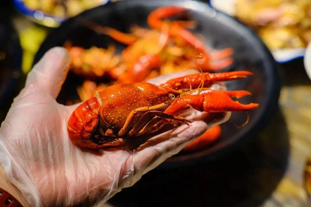 龙虾吃得最多的是哪个地方,全国小龙虾必吃50强