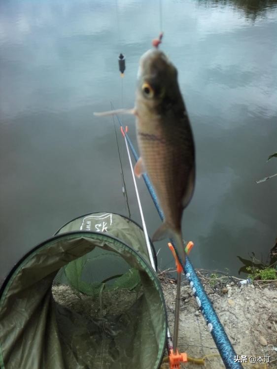 鏅編娓斿叿,鏅編楸艰偉