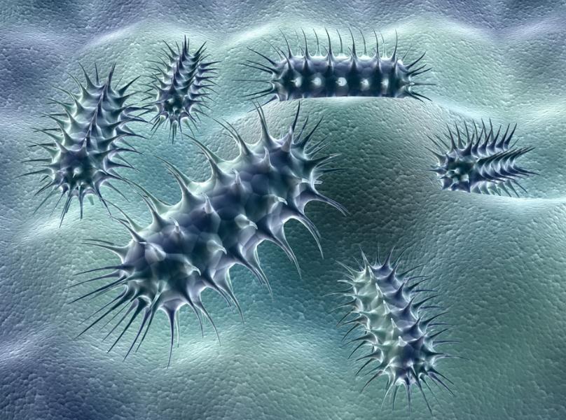 女生短裤发黄发硬怎么清洗,内裤变得很黄清洗小妙招