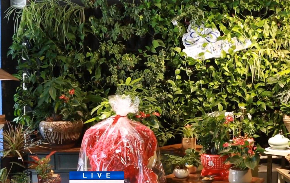 武汉比较大的鲜花批发市场,武汉鲜花市场