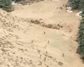 我国沙漠面积最大省份,我国沙漠变绿洲