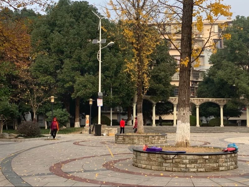 吃完饭散步满头大汗文案,早上散步满头大汗句子发朋友圈