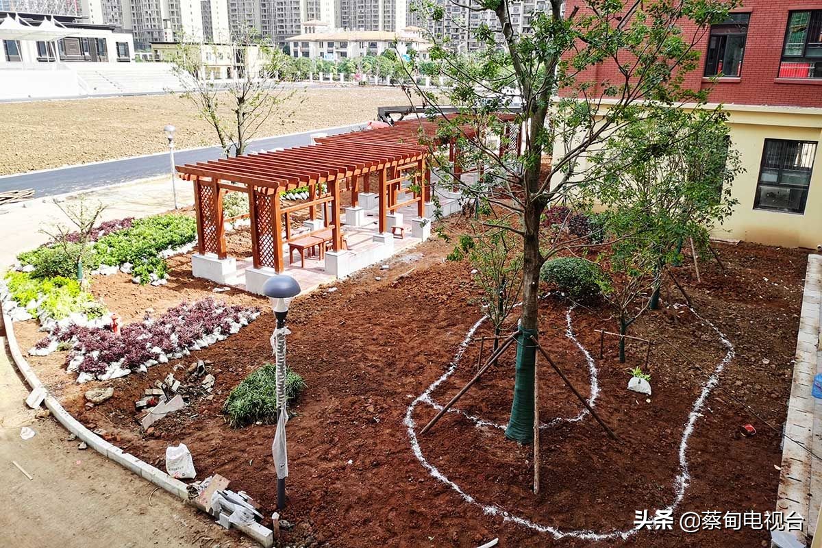 蔡甸小学开学名单,蔡甸学校什么时候正常开学