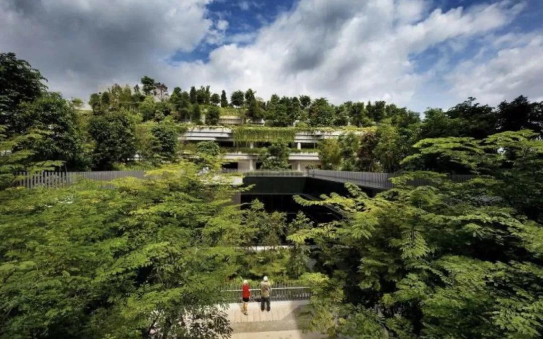 新加坡旁边是什么国家,新加坡是怎样一个国家