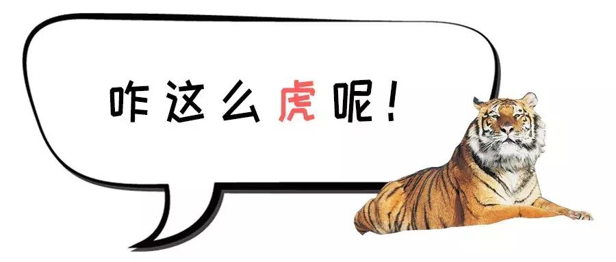 各地骂人的方言,各地骂人方言大集合