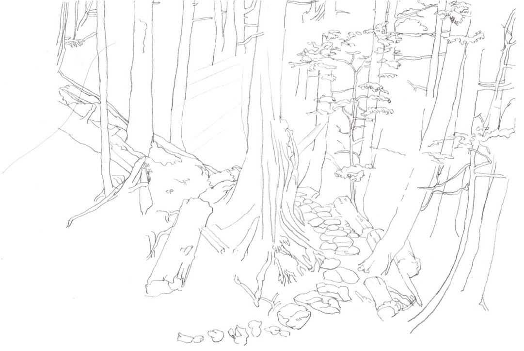 彩铅入门基础教程风景画,彩铅风景画教程简单入门