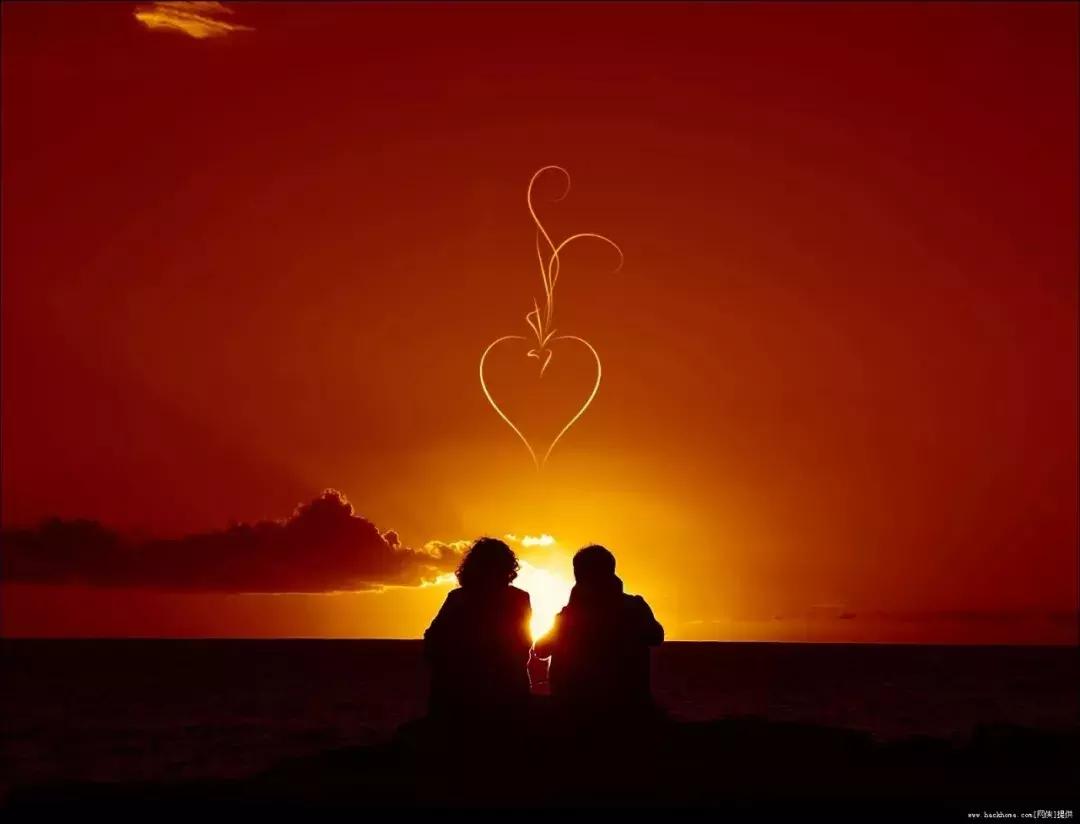 当代美诗都在此！和尚诗壁（76）回望当年牵手处，而今唯有落花新