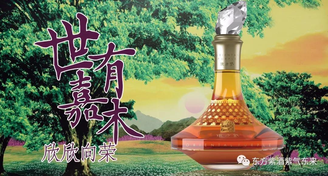 传承桑氏家族文化,传承传统文化彰显蚕桑魅力美篇