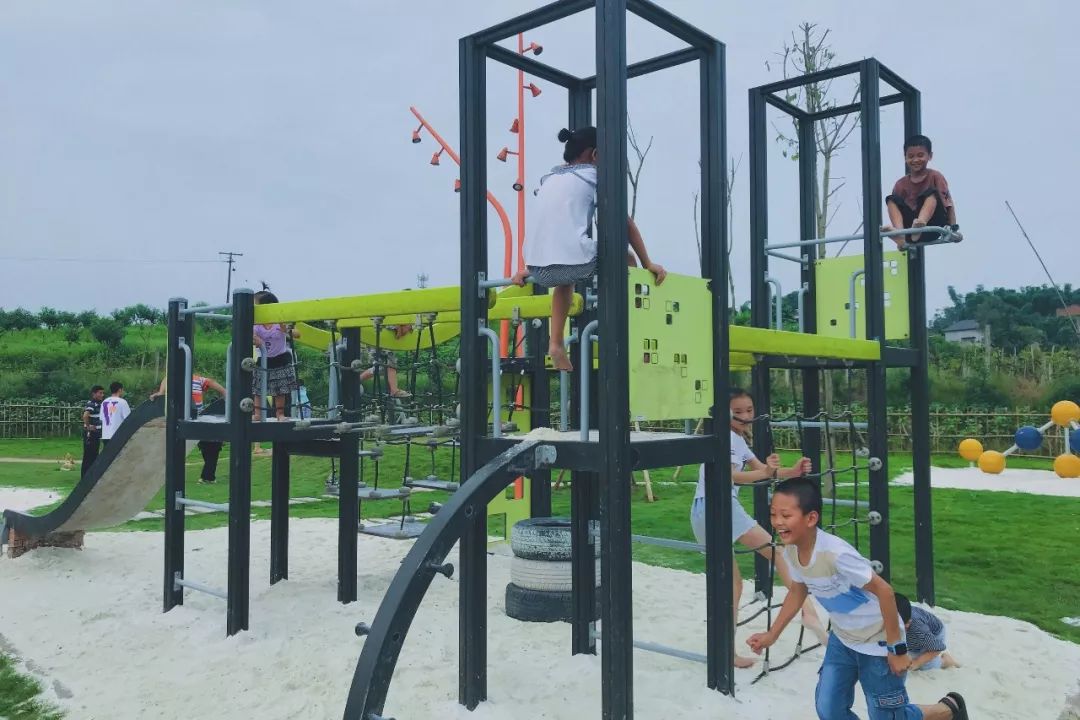 田园风光稻田帐篷,稻田星空露营基地