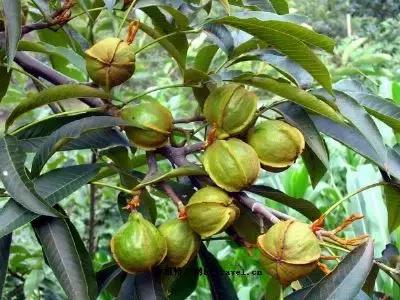 鹰潭好还是贵溪好,贵溪是一个怎样的地方