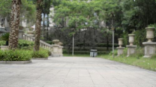 鏀惧績鍚▼,鏀惧績鍑哄彂