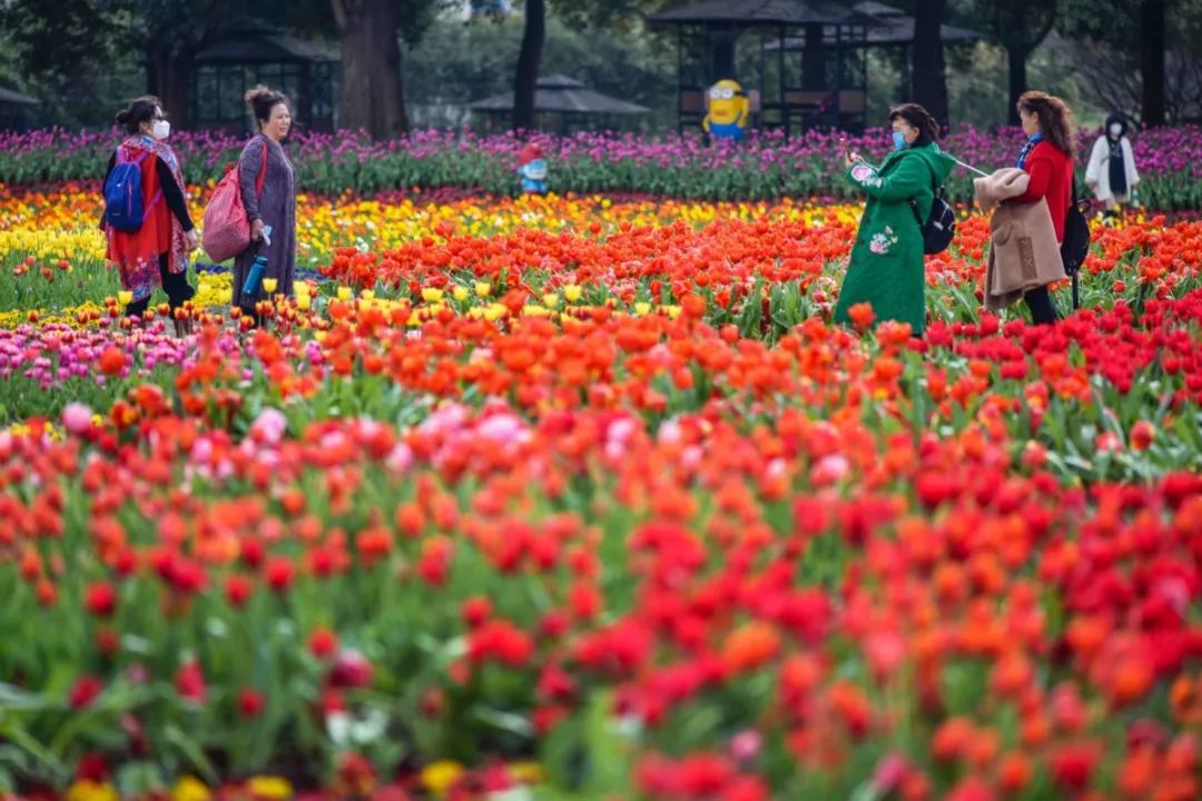 成都市秀丽东方,成都秀丽东方还在开放吗