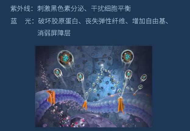 去眼纹去黑眼圈用什么方法,去眼袋黑公认最好用的土方法