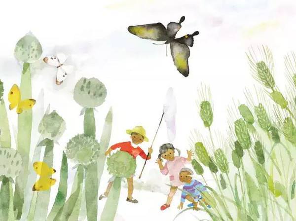 正向教育｜从问题女孩变成日本宝岛级人物，小豆豆到底经历了什么