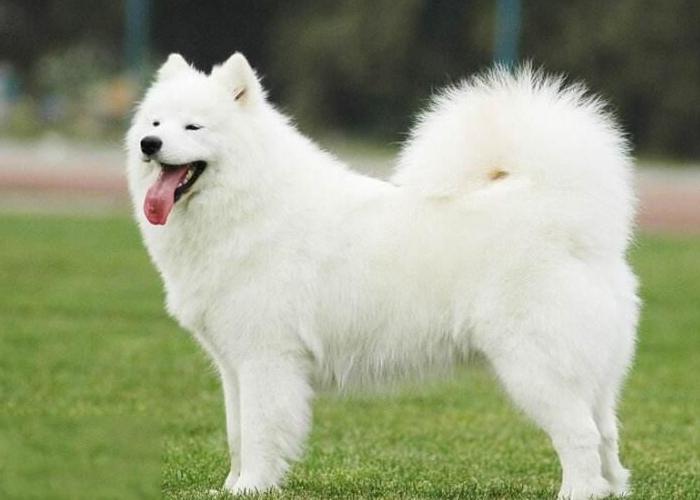 女生礼物排行榜实用清单,情人节礼物清单图片大全