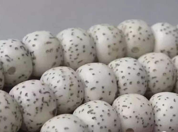 新手推荐的星月菩提,比较靠谱的星月菩提