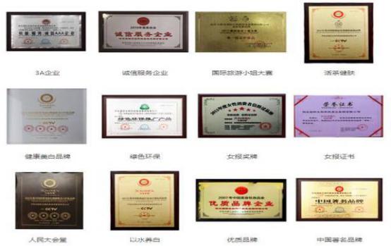 阳光国际圣蜜科技集团追梦2019