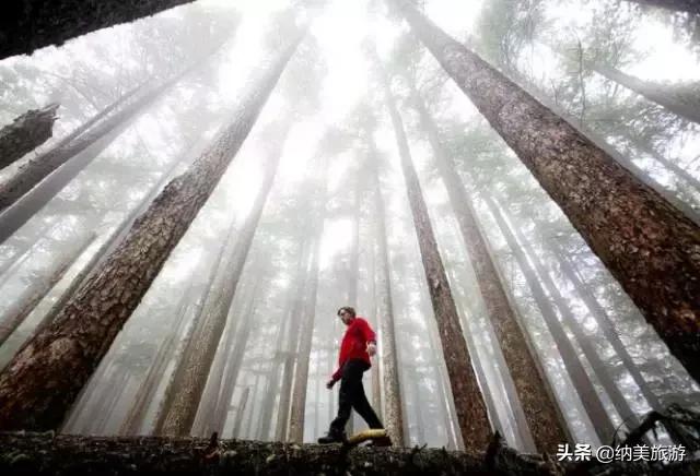 相约旅游景点大全,相约西双版纳旅游攻略