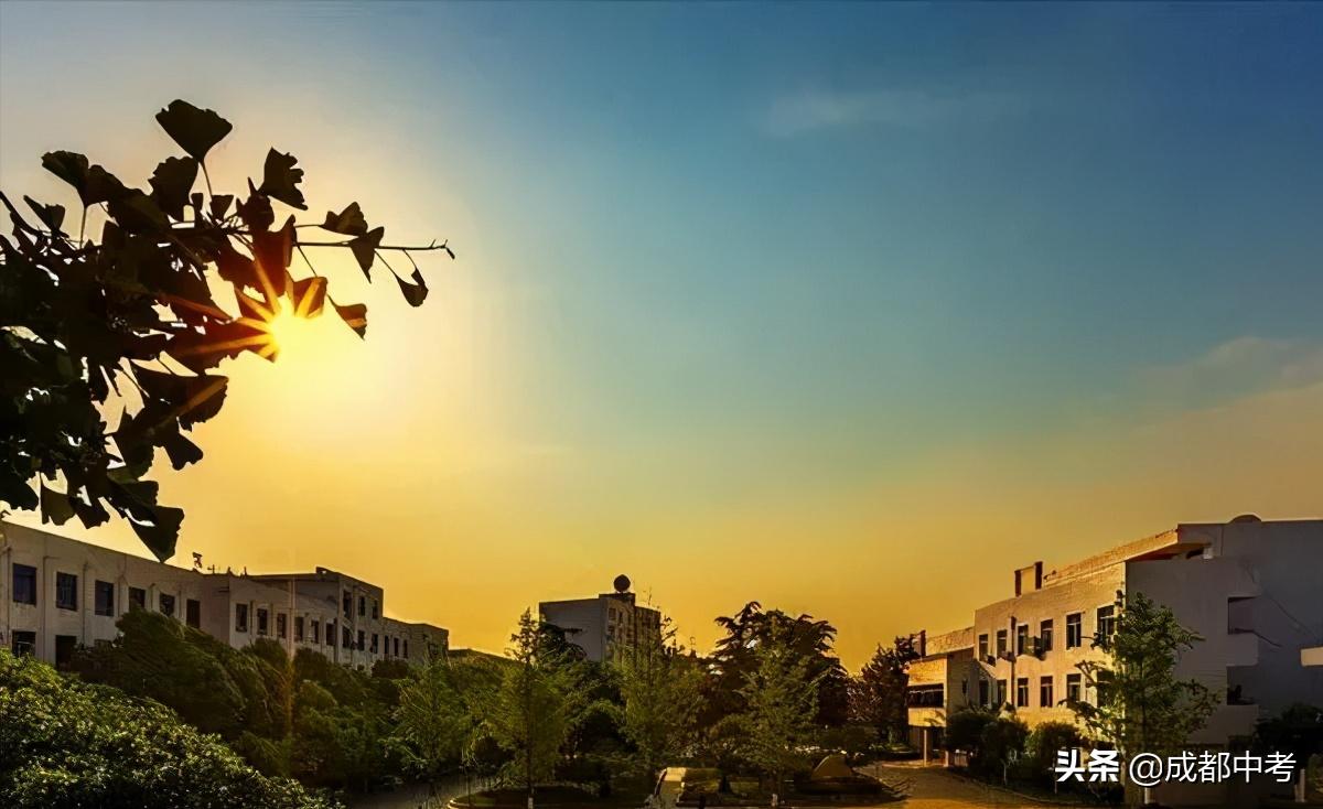 选名校还是选省属强校,选老高中还是选新高中