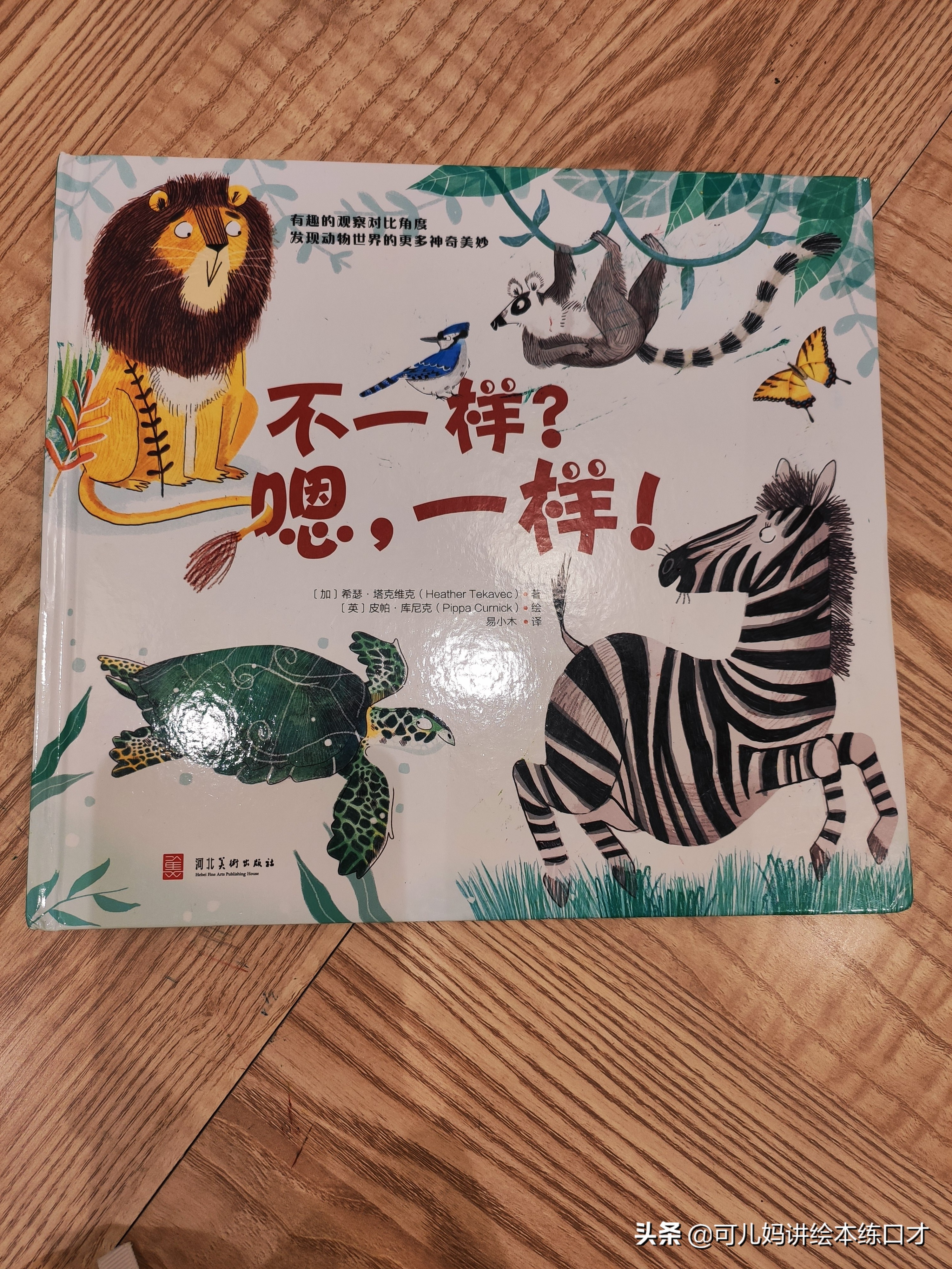 认识可爱的动物书,识图动物科普绘本