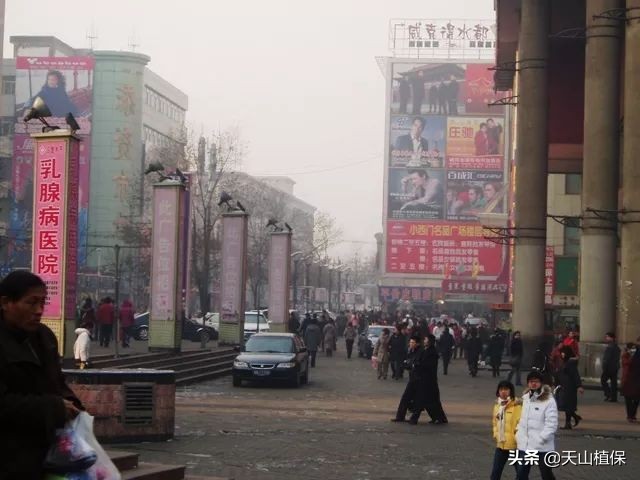 迪丽热巴古力娜扎对比视频,迪丽热巴与娜扎