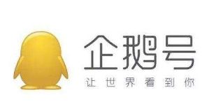 20个自媒体平台运营体验：头条号、公众号和知乎搜狐百家大鱼企鹅