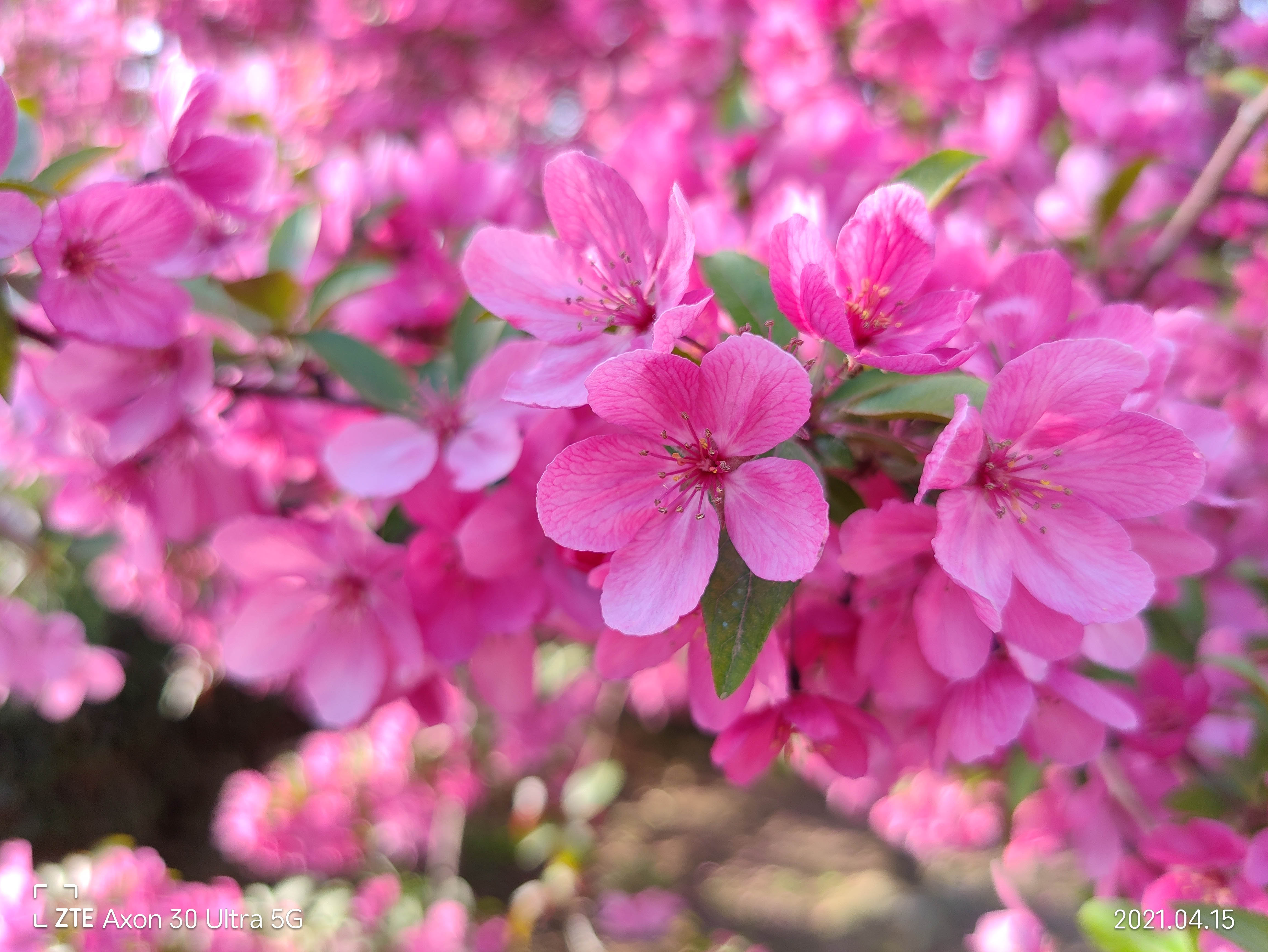 中兴axon30ultra评测屏下摄像头,中兴axon30ultra三千新机能入手吗