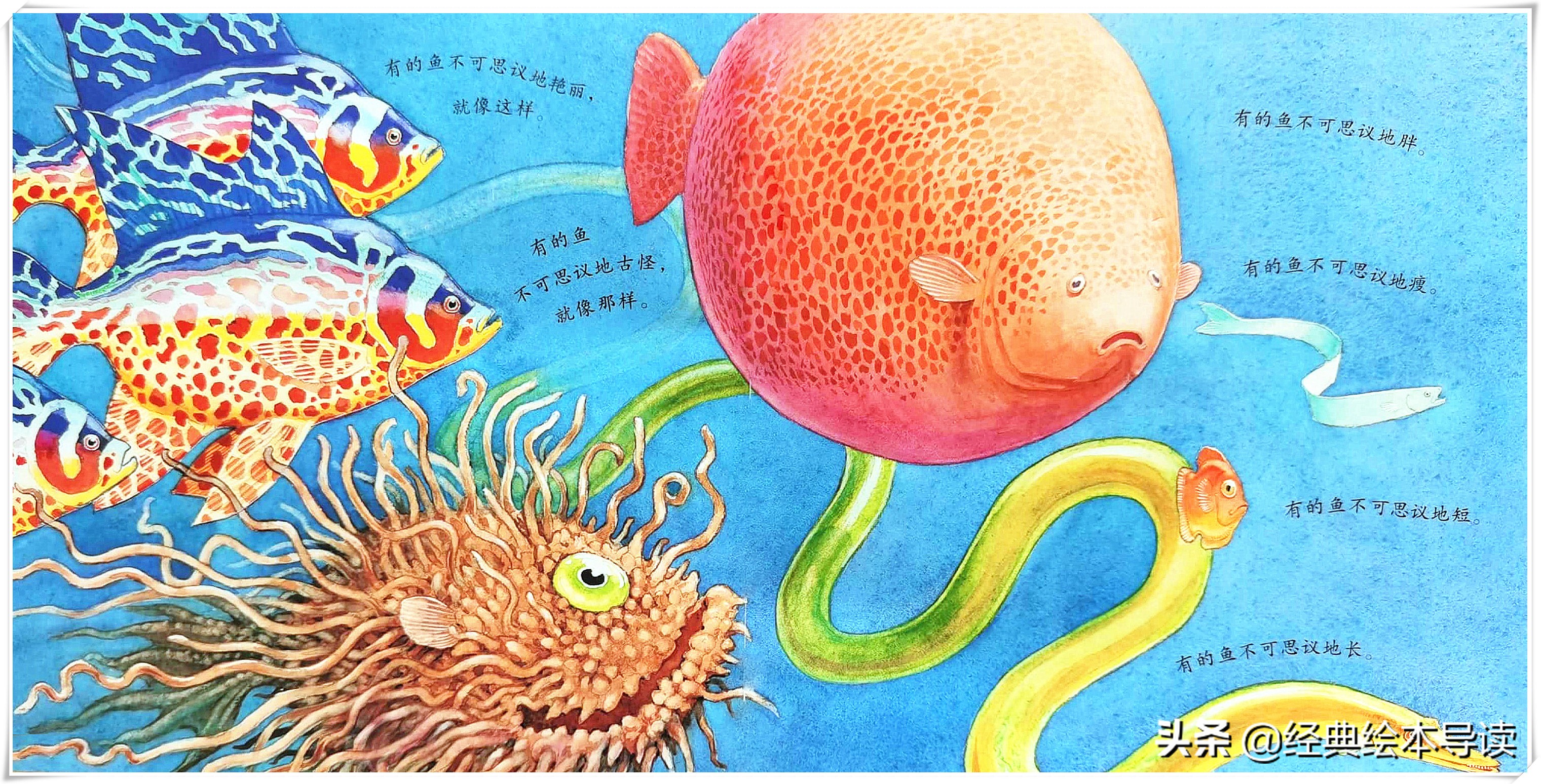 世界因此而改变——《一条聪明的鱼》导读