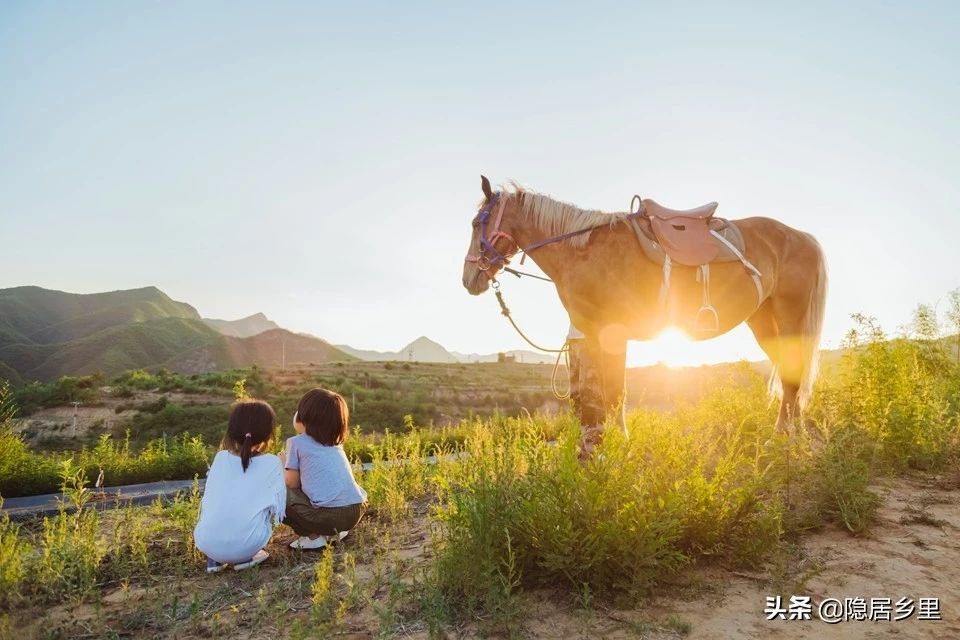 亲子京郊游红叶,国庆去北京看红叶攻略
