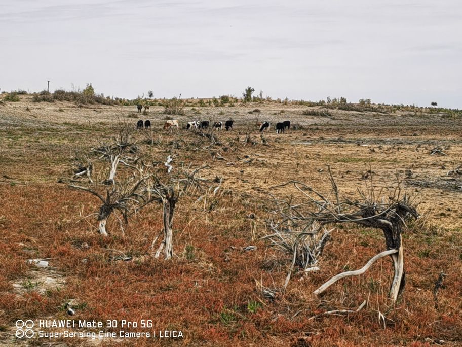 东道海子沙漠风景区,探秘东道海子