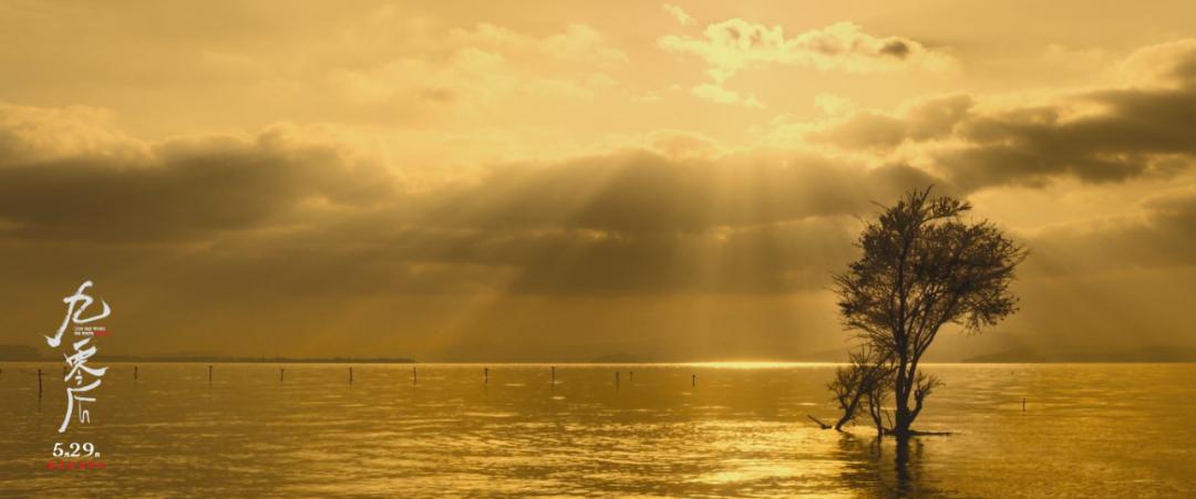 高中生走出两位院士,一个宿舍走出三位院士