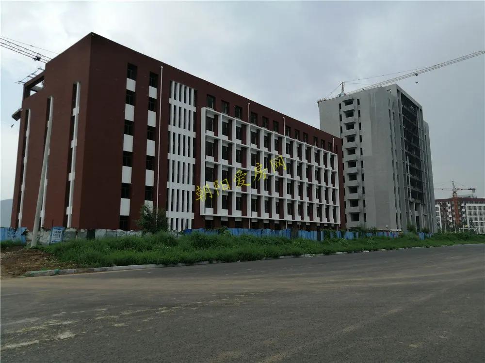 朝阳区操场,朝阳新区新建的学校