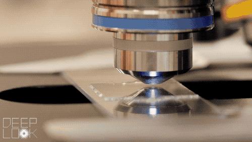 最好用的芝士皂,芝士除螨皂推荐