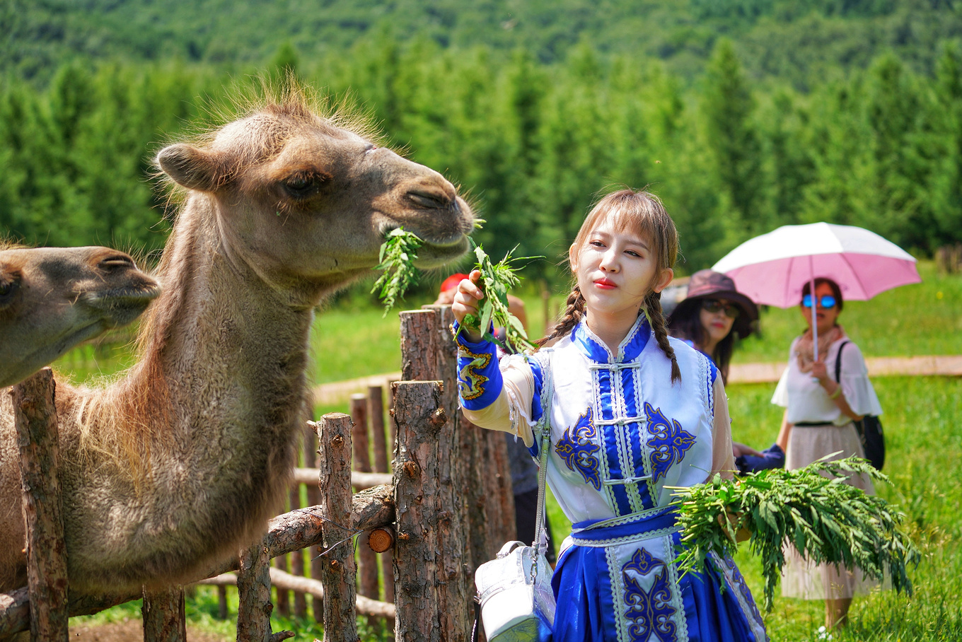 如何对付炎热的高温,炎炎夏日应对冬天