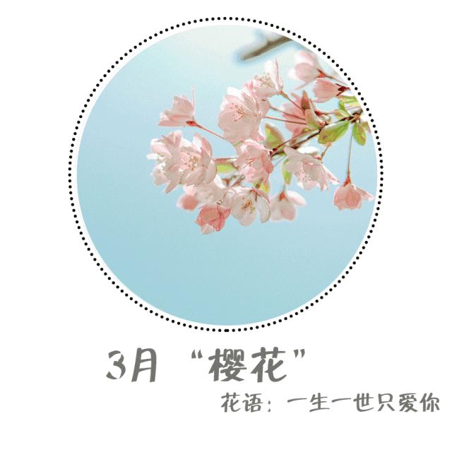 魔都四月赏花,魔都春季赏花好地方
