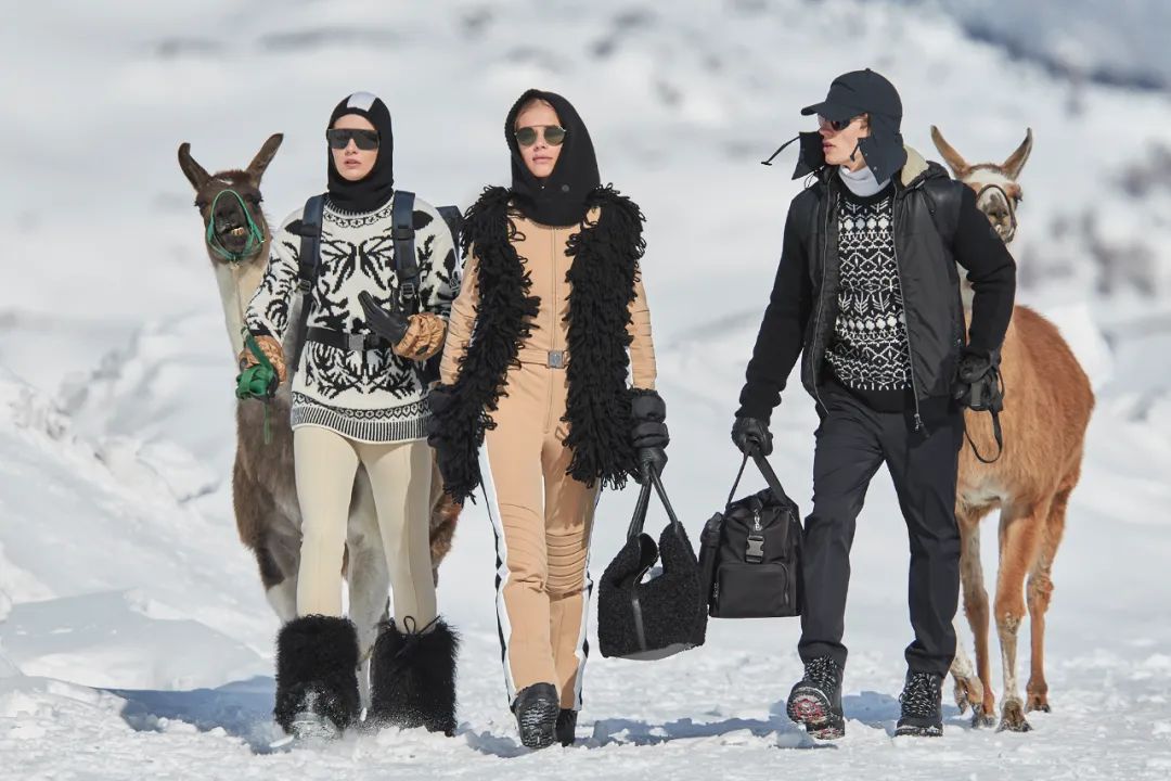 普京伊丽莎白女王,普京戴安娜王妃