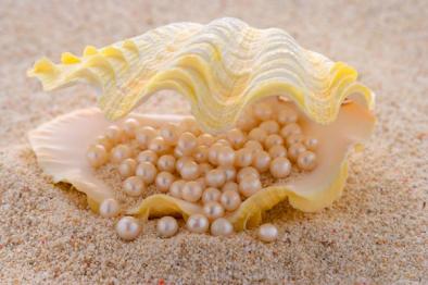 三亚有啥特产可以带回去,三亚游玩可以带的特产伴手礼