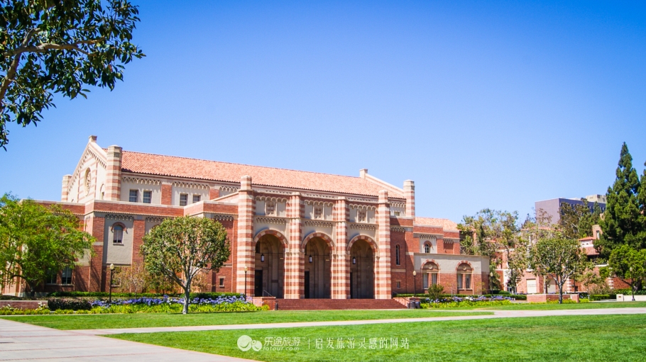 美国加州大学ucla录取条件,ucla加州大学洛杉矶分校女篮