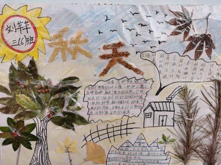 太有创意了!古城实小开展“秋•树叶”为主题的实践活动