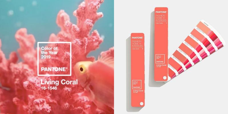 珍珠光彩妆教程,珍珠彩妆套装推荐女