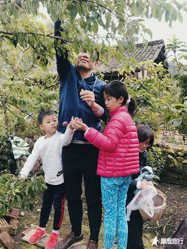 茶马古道重镇旅行,茶马古道旅行