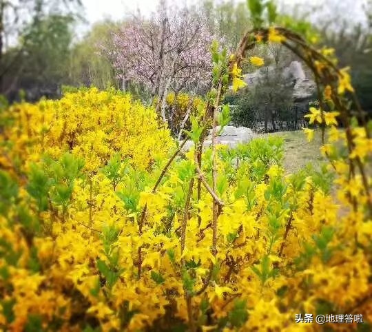 济南舜耕历山遗址,济南市市中区舜耕路舜耕山庄