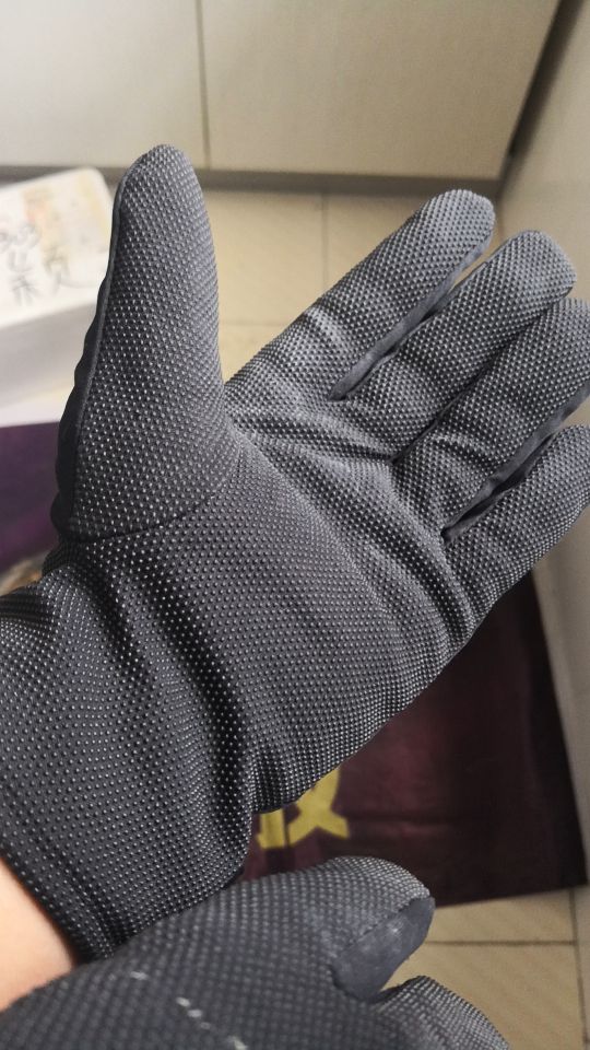 金虎长歪怎么办,金虎多少年可以长到25公分