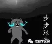 青羊二区与青羊三区学区房怎么选,青羊三区学区和青羊四区学区