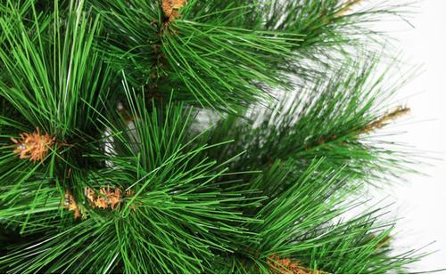 多肉璀璨小苗配土介质,养多肉需要哪些常备药