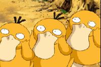 致命的60种动物,这100种动物你都认识吗