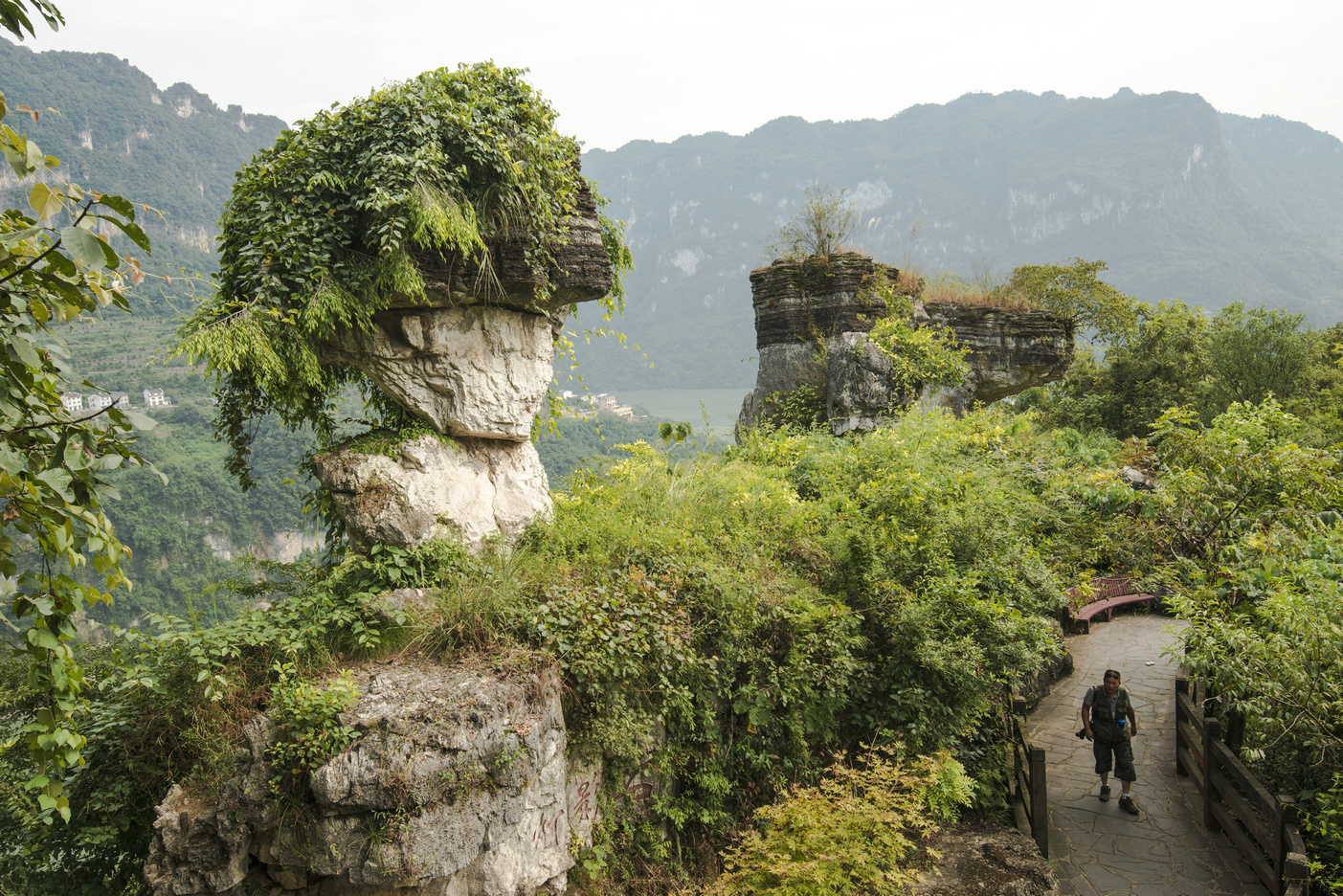 西陵峡风景区和三峡人家哪个好玩,三峡人家和西陵峡哪个景点值得去